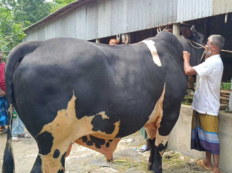 ছবি : সংগৃহীত