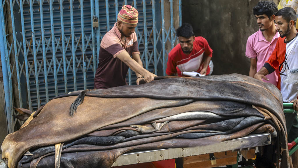 ছবি : সংগৃহীত